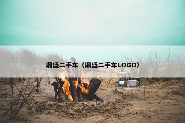 鼎盛二手车（鼎盛二手车LOGO）