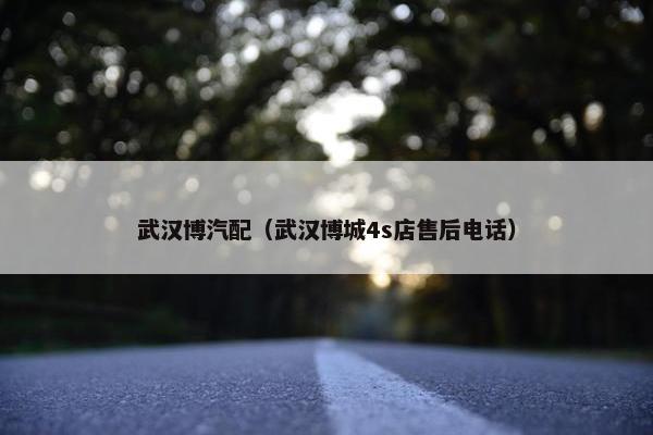 武汉博汽配（武汉博城4s店售后电话）