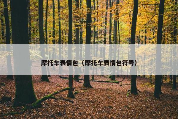 摩托车表情包（摩托车表情包符号）