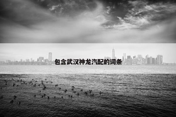 包含武汉神龙汽配的词条