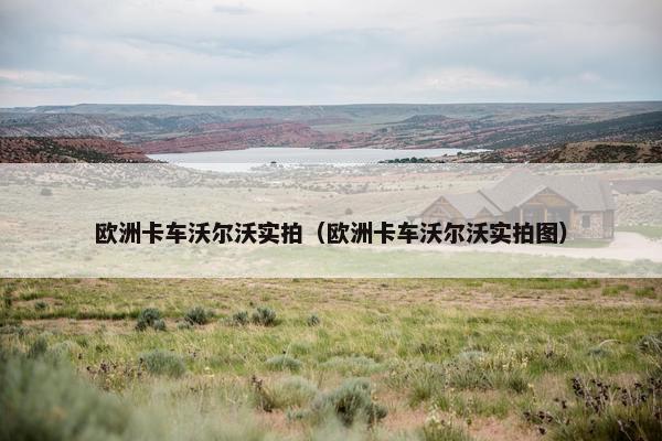 欧洲卡车沃尔沃实拍（欧洲卡车沃尔沃实拍图）