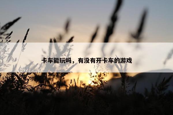 卡车能玩吗，有没有开卡车的游戏