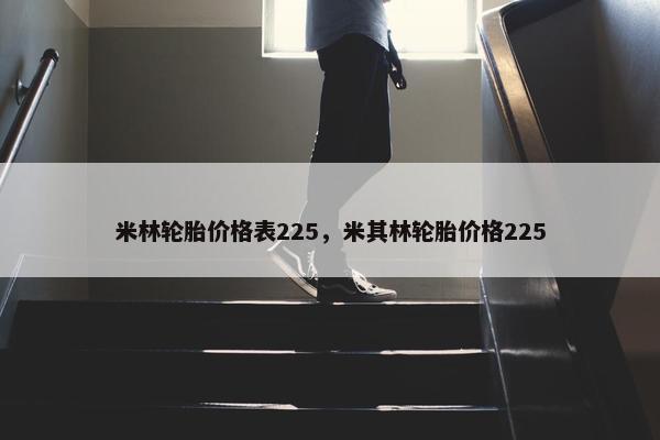 米林轮胎价格表225，米其林轮胎价格225