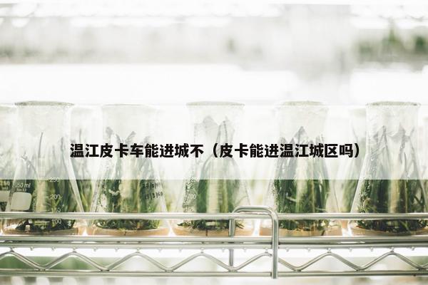 温江皮卡车能进城不（皮卡能进温江城区吗）