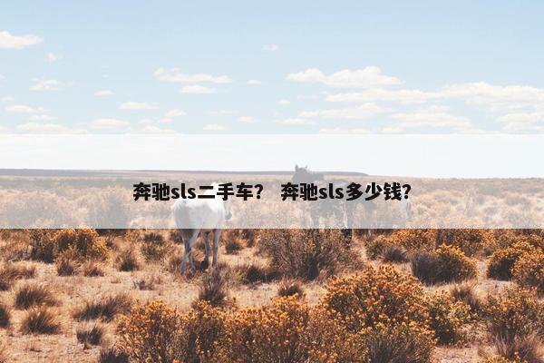 奔驰sls二手车？ 奔驰sls多少钱？