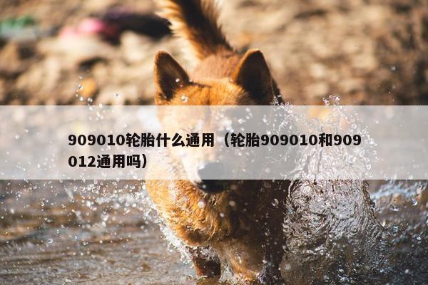 909010轮胎什么通用（轮胎909010和909012通用吗）