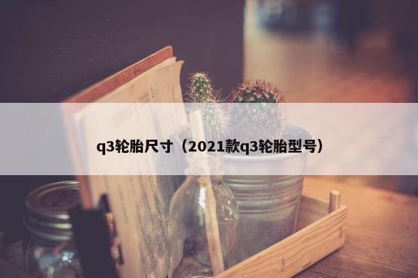 q3轮胎尺寸（2021款q3轮胎型号）