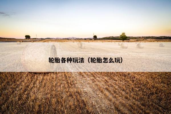 轮胎各种玩法（轮胎怎么玩）