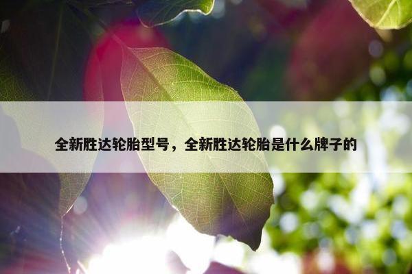 全新胜达轮胎型号，全新胜达轮胎是什么牌子的