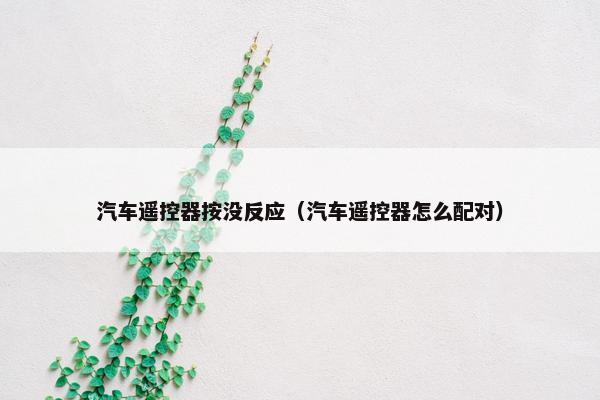 汽车遥控器按没反应（汽车遥控器怎么配对）