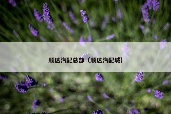 顺达汽配总部（顺达汽配城）