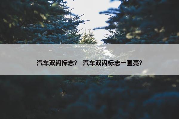汽车双闪标志？ 汽车双闪标志一直亮？