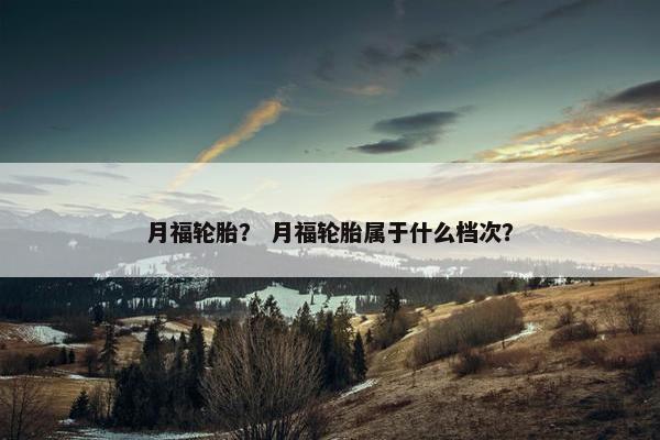 月福轮胎？ 月福轮胎属于什么档次？