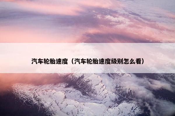 汽车轮胎速度（汽车轮胎速度级别怎么看）