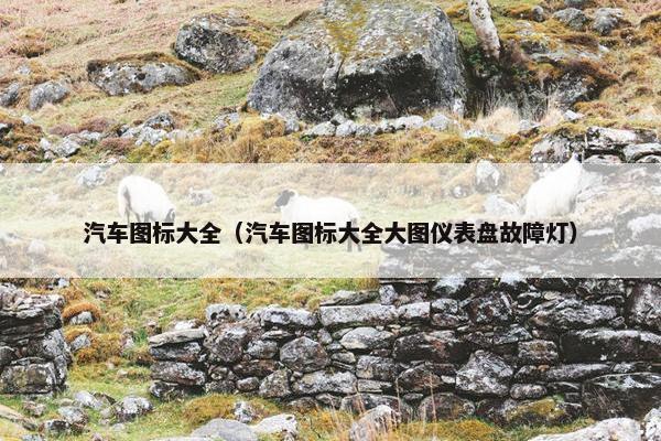 汽车图标大全（汽车图标大全大图仪表盘故障灯）