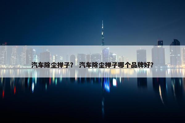 汽车除尘掸子？ 汽车除尘掸子哪个品牌好？