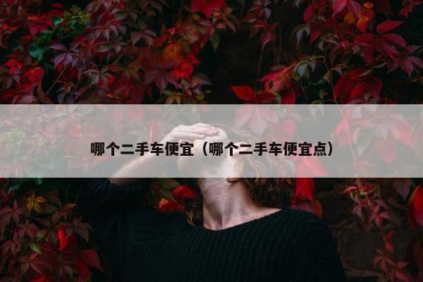 哪个二手车便宜（哪个二手车便宜点）