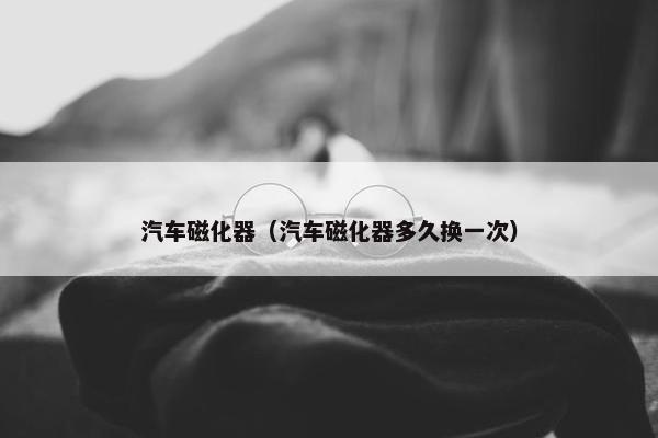 汽车磁化器（汽车磁化器多久换一次）