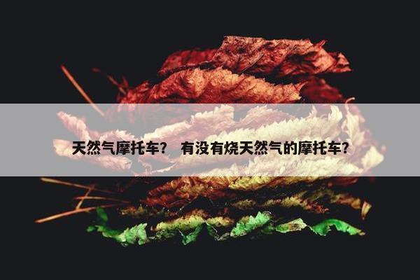 天然气摩托车？ 有没有烧天然气的摩托车？