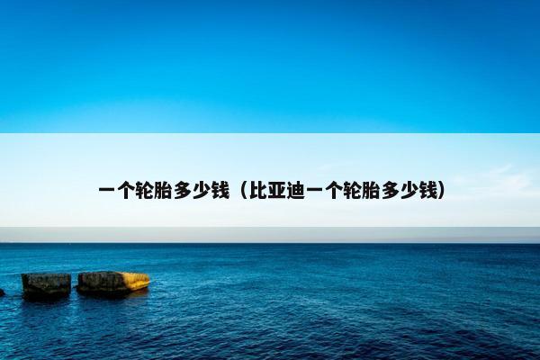 一个轮胎多少钱（比亚迪一个轮胎多少钱）
