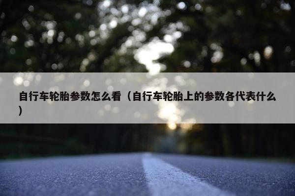 自行车轮胎参数怎么看（自行车轮胎上的参数各代表什么）