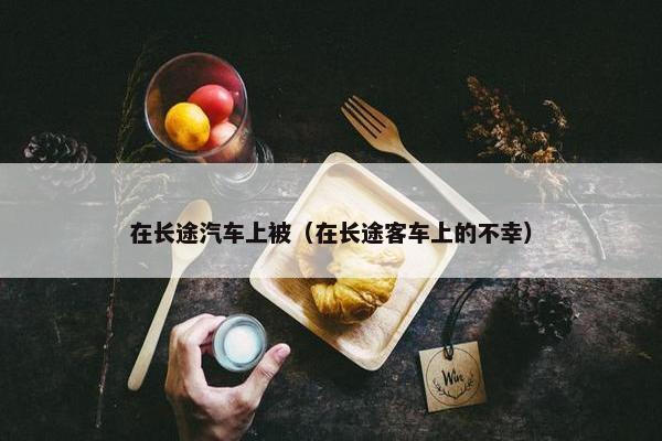 在长途汽车上被（在长途客车上的不幸）