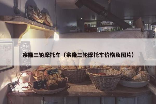 宗隆三轮摩托车（宗隆三轮摩托车价格及图片）