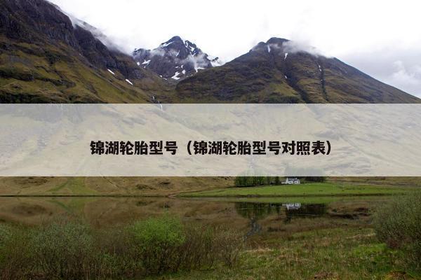 锦湖轮胎型号（锦湖轮胎型号对照表）