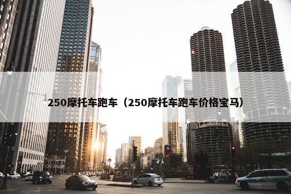 250摩托车跑车（250摩托车跑车价格宝马）