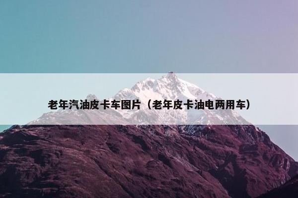 老年汽油皮卡车图片（老年皮卡油电两用车）