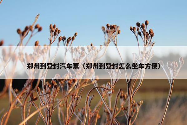 郑州到登封汽车票（郑州到登封怎么坐车方便）
