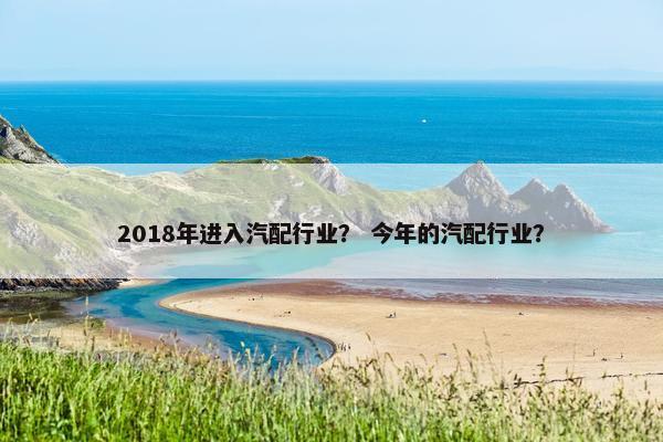 2018年进入汽配行业？ 今年的汽配行业？