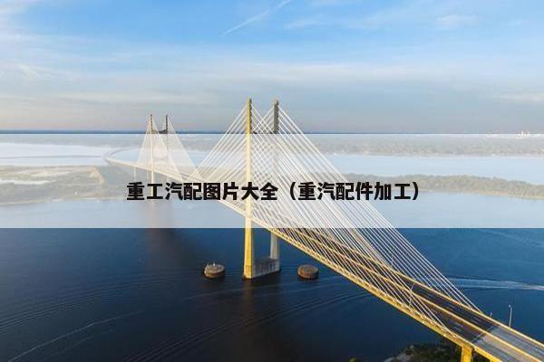 重工汽配图片大全（重汽配件加工）