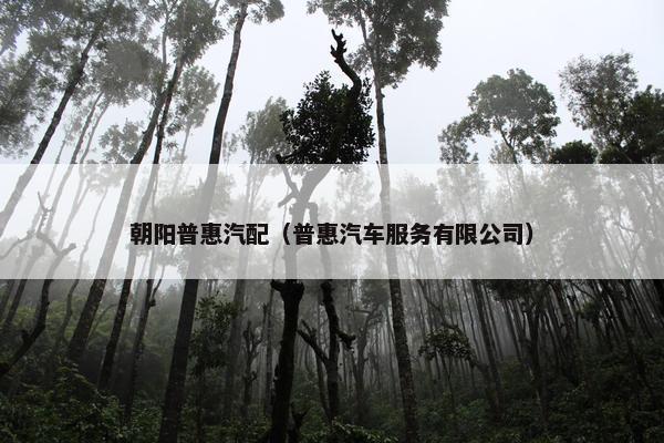 朝阳普惠汽配（普惠汽车服务有限公司）