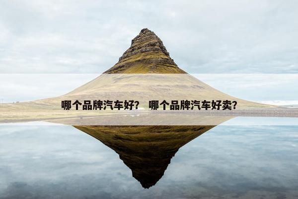 哪个品牌汽车好？ 哪个品牌汽车好卖？