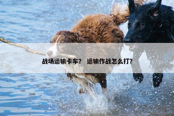 战场运输卡车？ 运输作战怎么打？