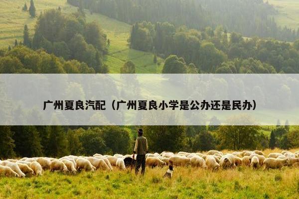 广州夏良汽配（广州夏良小学是公办还是民办）