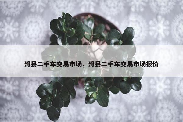 滑县二手车交易市场，滑县二手车交易市场报价