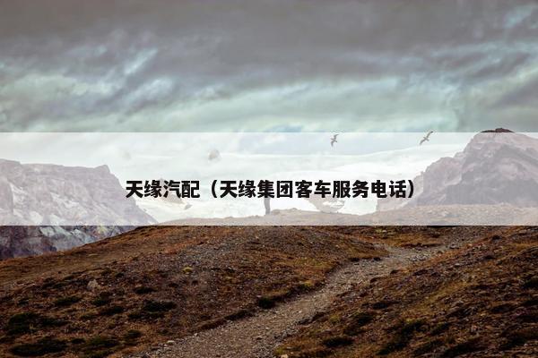 天缘汽配（天缘集团客车服务电话）