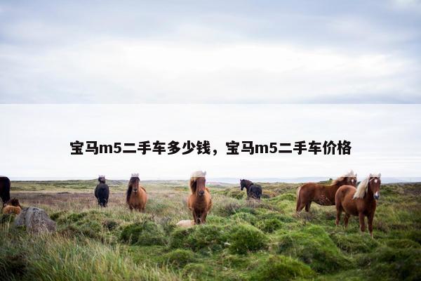 宝马m5二手车多少钱，宝马m5二手车价格