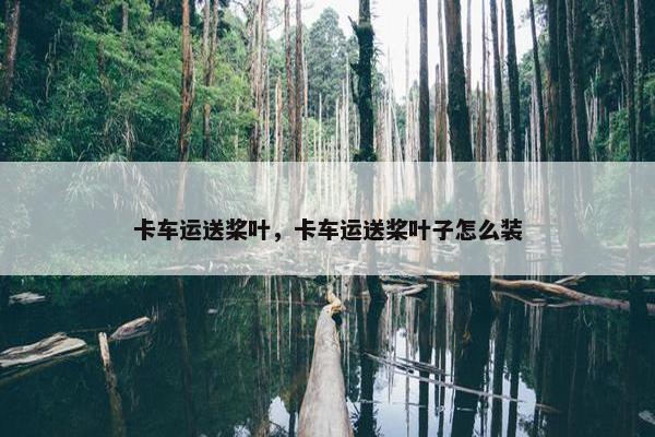 卡车运送桨叶，卡车运送桨叶子怎么装