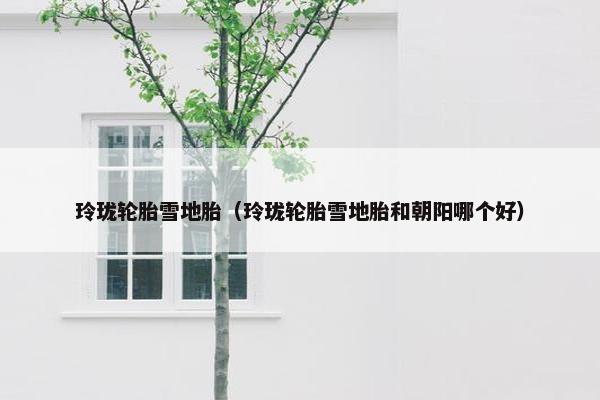 玲珑轮胎雪地胎（玲珑轮胎雪地胎和朝阳哪个好）