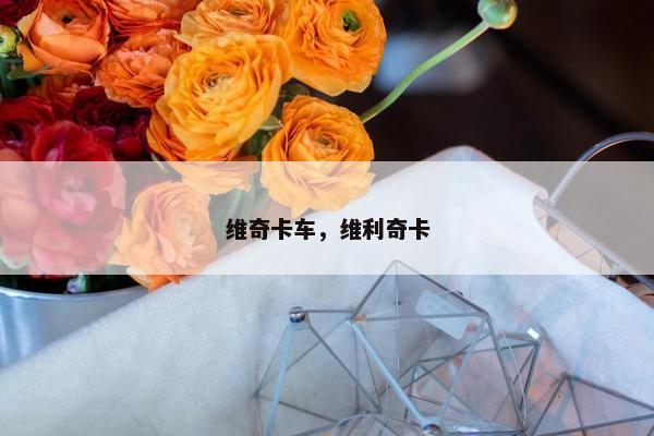 维奇卡车，维利奇卡