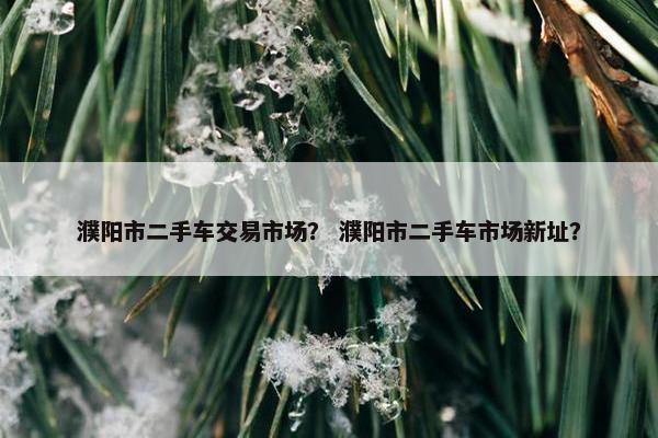 濮阳市二手车交易市场？ 濮阳市二手车市场新址？