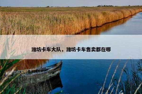 潍坊卡车大队，潍坊卡车售卖都在哪