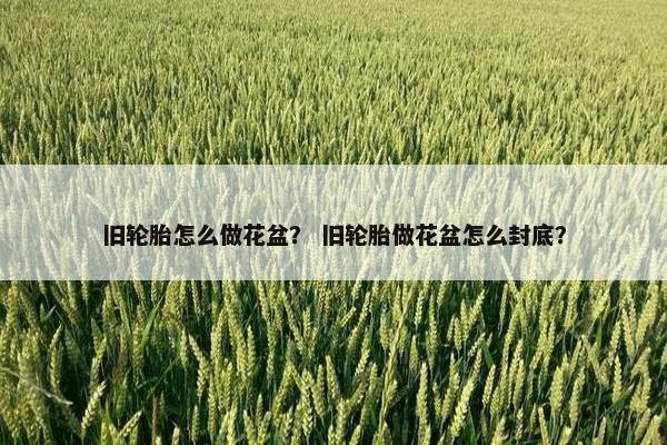 旧轮胎怎么做花盆？ 旧轮胎做花盆怎么封底？