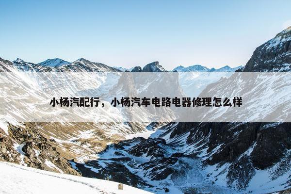 小杨汽配行，小杨汽车电路电器修理怎么样
