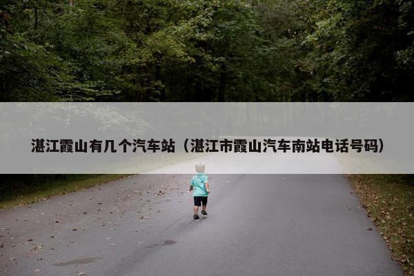 湛江霞山有几个汽车站（湛江市霞山汽车南站电话号码）