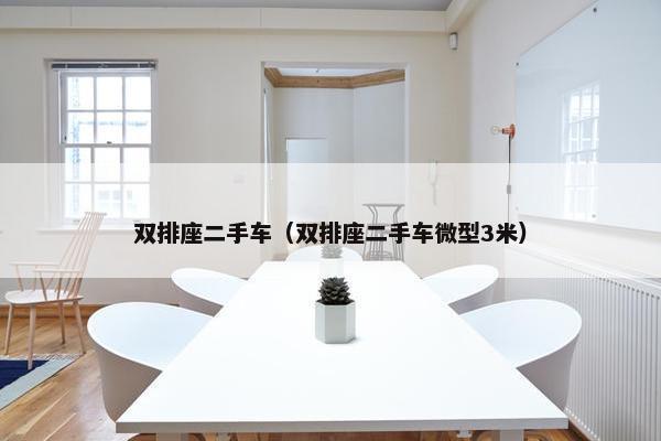 双排座二手车（双排座二手车微型3米）