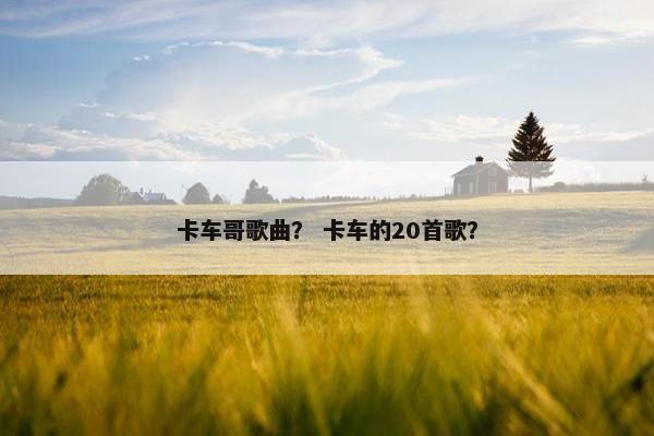 卡车哥歌曲？ 卡车的20首歌？